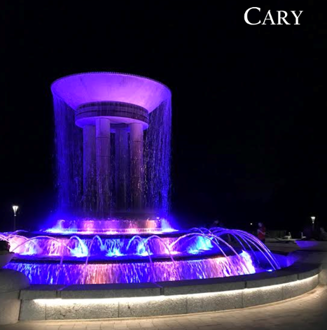 Cary New Construction
